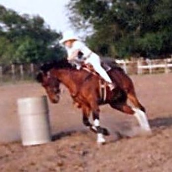 Mission Veterinary Hospital - Veterinarians Near Me - Mission, Texas Mission Veterinary Hospital - Veterinarians Near Me - Mission, Texas
