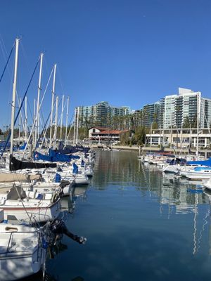 Marina Del Rey Marina by null
