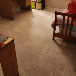 Pro Budget Carpet Cleaning - Best carpet cleaner