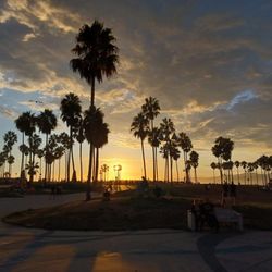 Venice Beach Walking Tours - From Jewish Venice to the African American Venice Beach community to the Silicon Beach Venice Beach community the VIP Tour guides of Venice