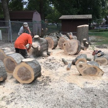 Qce Tree Service - Tree Services Near Me Qce Tree Service - Tree Services Near Me