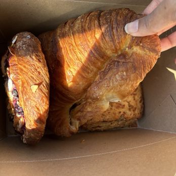 Choux Choux Bakery - Coffee & Tea Near Me - Everett, Washington