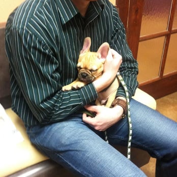 Stonebriar Veterinary Centre - Veterinarians Near Me - Frisco, Texas Stonebriar Veterinary Centre - Veterinarians Near Me - Frisco, Texas