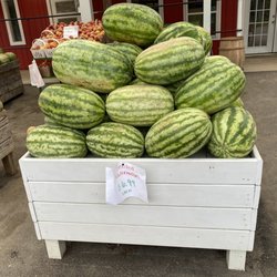 Fresh Market Produce - Large Watermelon at Fresh Market Produce, Denver