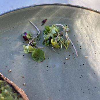 Horizon Shine - Rotten micro greens from my avo toast - Coffee & Tea Near Me - Henderson, Nevada