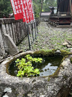 Kitaguchi Hongu Fuji Sengen Shrine by null