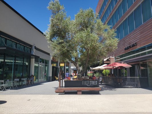 Music in the Vineyards by null