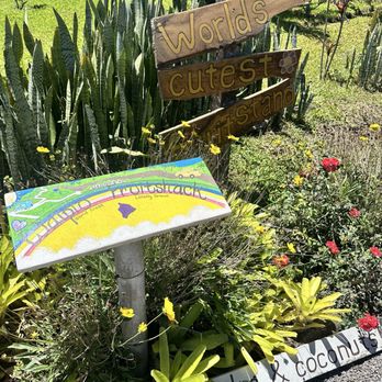 Waipi’o Fruit Shack - Fruits & Veggies Near Me - Honokaa, Hawaii Waipi’o Fruit Shack - Fruits & Veggies Near Me - Honokaa, Hawaii