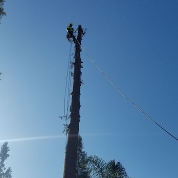 Eagle Tree Service - Tree Services Near Me - Gentry, Arkansas Eagle Tree Service - Tree Services Near Me - Gentry, Arkansas