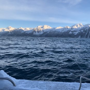 Seward Ocean Excursions - View of winter tour off Missing Lynx with Seward Ocean Excursions in Seward, Alaska. - Boat Tours Near Me