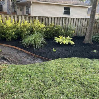 A.D.I Landscaping & Tree Service - New privacy hedge w/ mulch - Landscaping Near Me - Houston, Texas