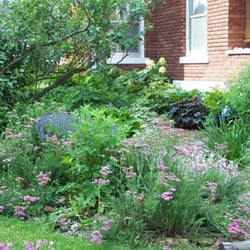 Crescent Moon Sustainable Gardening, LLC - mixed sun and shade garden, with hidden path and rain water features