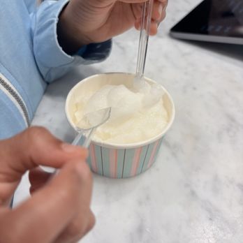 Sucré  - Lemon ice - Gelato Near Me - New Orleans, Louisiana