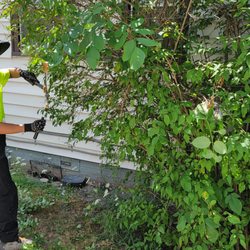 Santana Lawn Care