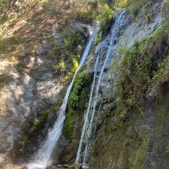 Pfeiffer Big Sur State Park - Pfeiffer Falls, a trail at the SP - Parks Near Me Pfeiffer Big Sur State Park - Pfeiffer Falls, a trail at the SP - Parks Near Me