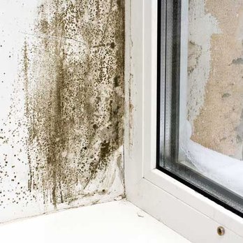 Mold Masters NEO - Home Inspectors Near Me Mold Masters NEO - Home Inspectors Near Me