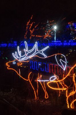 Oregon Zoo by null