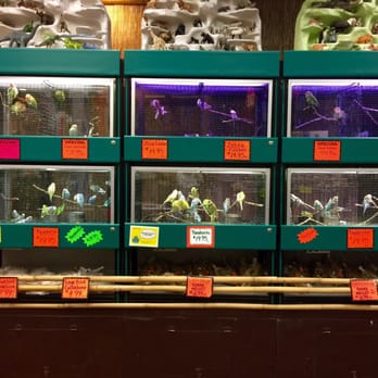 Koolau Pets Plants & Ponds - birds - Pet Stores Near Me - Kaneohe, Hawaii