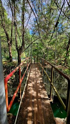 Cedar Lakes Woods and Gardens by null