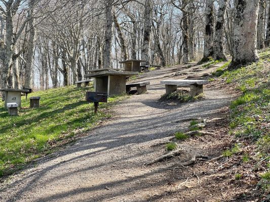 Blue Ridge Parkway - Craggy Gardens Visitor Center by null