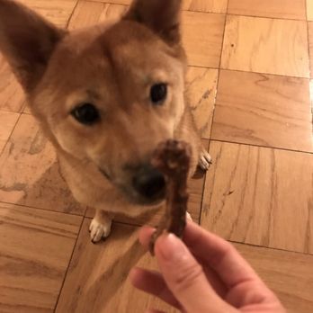 Real Dog Box - Chicken neck - Pet Services Near Me - San Diego, California Real Dog Box - Chicken neck - Pet Services Near Me - San Diego, California