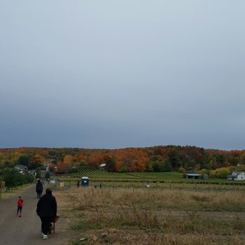 Centre d'Interprétation de la Courge - Farms Near Me - Saint-Joseph-du-Lac, Quebec Centre d'Interprétation de la Courge - Farms Near Me - Saint-Joseph-du-Lac, Quebec