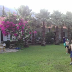 Villa Salkım