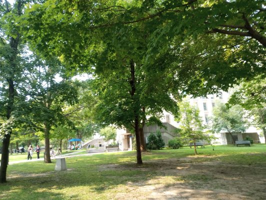 McGill University by null