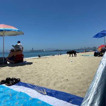 Rosie's Dog Beach - Dog beach - Dog Parks Near Me - Long Beach, California Rosie's Dog Beach - Dog beach - Dog Parks Near Me - Long Beach, California