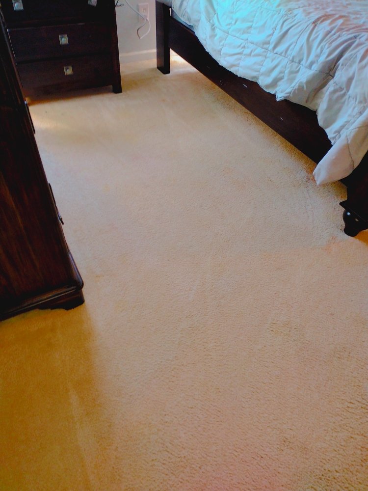 KWIK DRY TOTAL CLEANING 52 Photos Huntersville, North Carolina