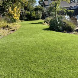 Backyard turf installed by Reborn Lawns. Backyard turf installed by Reborn Lawns.