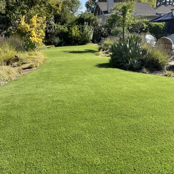 Reborn Lawns - Backyard turf installed by Reborn Lawns. - Artificial Turf Near Me Reborn Lawns - Backyard turf installed by Reborn Lawns. - Artificial Turf Near Me