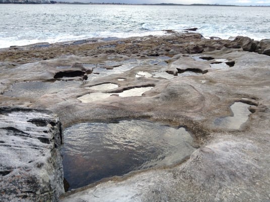 Royal National Park by null