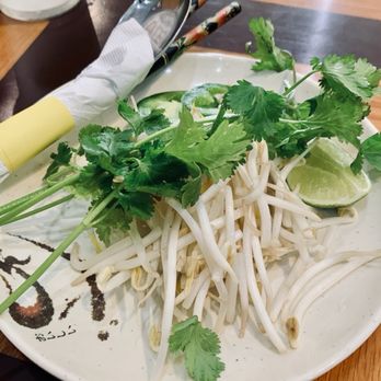 Pho Dung Gia - Garnish comes with pho - Vietnamese Near Me - Des Plaines, Illinois Pho Dung Gia - Garnish comes with pho - Vietnamese Near Me - Des Plaines, Illinois