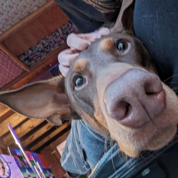 Happy Lifts - Trainer Bambi assists in workouts!! - Gyms Near Me