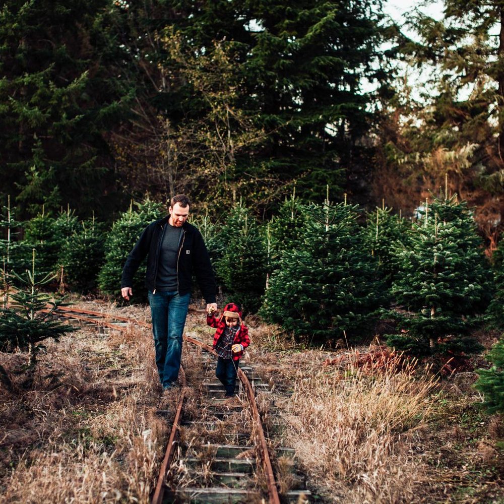 Crystal Creek - The best seattle holiday mini sessions at Crystal Creek Tree Farm with Anna Nodolf Documentary Family Photographer. - Attraction Farms Near Me Crystal Creek - The best seattle holiday mini sessions at Crystal Creek Tree Farm with Anna Nodolf Documentary Family Photographer. - Attraction Farms Near Me