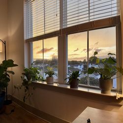 The Pearl at Marina Shores - unit 423