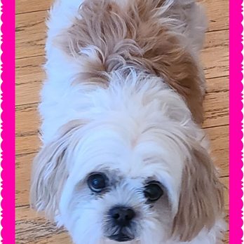 Billingsley Veterinary Hospital - Veterinarians Near Me - Tehachapi, California Billingsley Veterinary Hospital - Veterinarians Near Me - Tehachapi, California