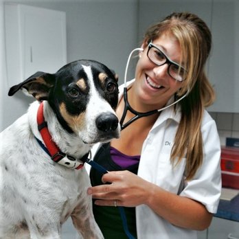 Walk-In Veterinary Care - Dr Kristina Ramer | Veterinarian - Veterinarians Near Me - Apollo Beach, Florida Walk-In Veterinary Care - Dr Kristina Ramer | Veterinarian - Veterinarians Near Me - Apollo Beach, Florida