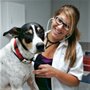 Photo of Walk-In Veterinary Care