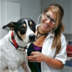 Walk-In Veterinary Care - Dr Kristina Ramer | Veterinarian