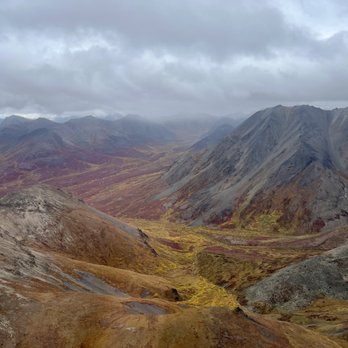 Temsco Helicopters - Denali - Aerial Tours Near Me