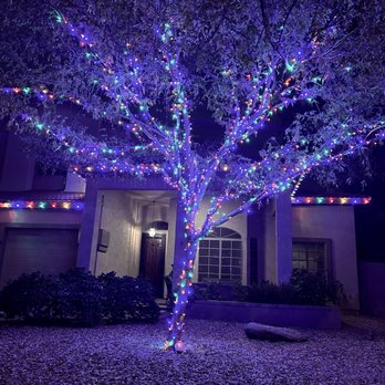 Honey Do Christmas Lights - Multi color branch wrap - Holiday Decorating Services Near Me Honey Do Christmas Lights - Multi color branch wrap - Holiday Decorating Services Near Me