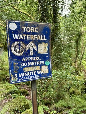 Killarney National Park by null