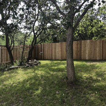 Viking Fence - Fence looks great!  Now about the grass.... - Fences & Gates Near Me - Austin, Texas