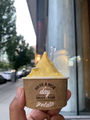 Motoretta Gelato by null