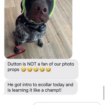 Peak Performance Dog Training - Pet Training Near Me - Ladera Ranch, California Peak Performance Dog Training - Pet Training Near Me - Ladera Ranch, California