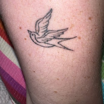 Kurve Beauty - what the bird looks like healed. next photo is what it should've looked like. it's a pathetic looking bird. - Permanent Makeup Near Me - Nashville, Tennessee Kurve Beauty - what the bird looks like healed. next photo is what it should've looked like. it's a pathetic looking bird. - Permanent Makeup Near Me - Nashville, Tennessee
