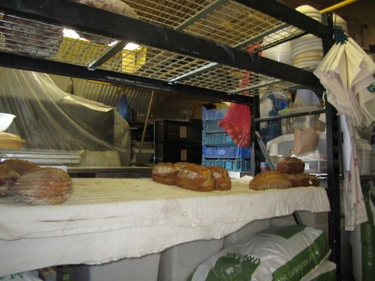 E5 Bakehouse by null