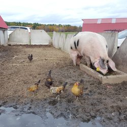 Carter & Stevens Farm Store